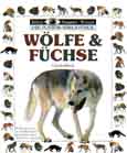 Wlfe und Fchse